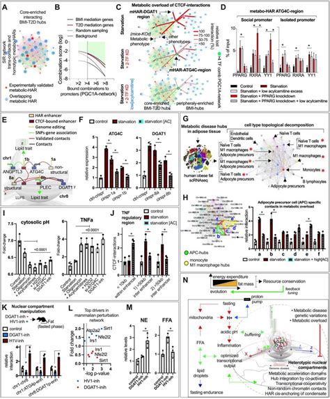 Resilience Through Robust Genome Plasticity A Cell Na Ve Chromatin