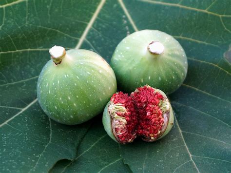 Liquido bianco dalla vagina cosa può essere A Good Magazine