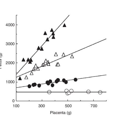 Relationships Between Fetal Weight And Placental Weight In Ewes At 85 D