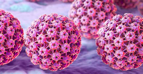 ВИРУСЫ ПАПИЛЛОМЫ ЧЕЛОВЕКА - ВПЧ, HUMAN PAPILLOMAVIRUS - HPV