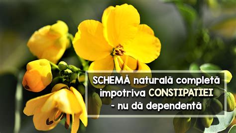 Constipație Cronica Tratament Natural Schema Completa Lataifas