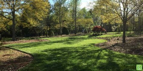 Spring Lawn And Landscape Lawn Renovation Lawn And Landscape Lawn