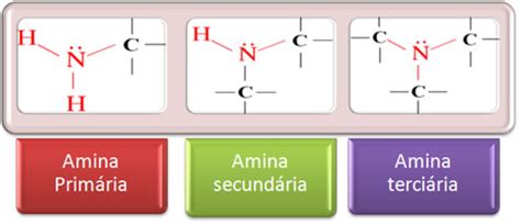O Que Significa Amina - Nomenclatura das aminas. Nomenclatura oficial das aminas - Mundo Educação