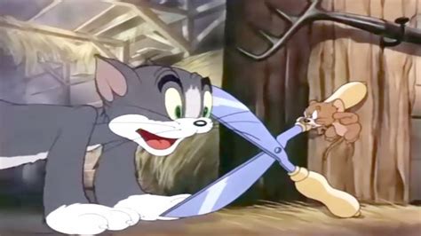 Tom and Jerry Full Episodes In English Fine Feathered Friend - Kids Cartoons TV | Tom and jerry ...