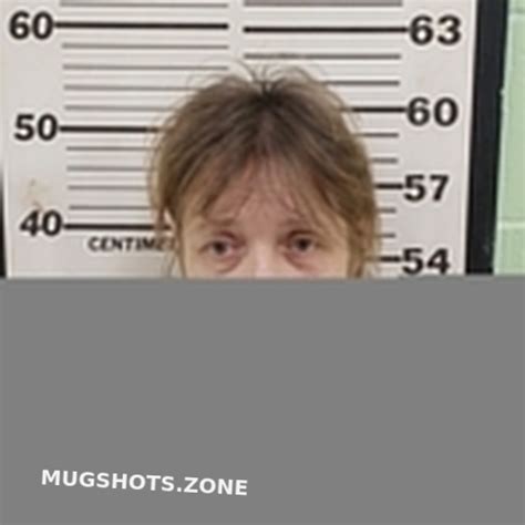 TAMMY JEAN STEWARD 05 31 2024 Tunica County Mugshots Zone