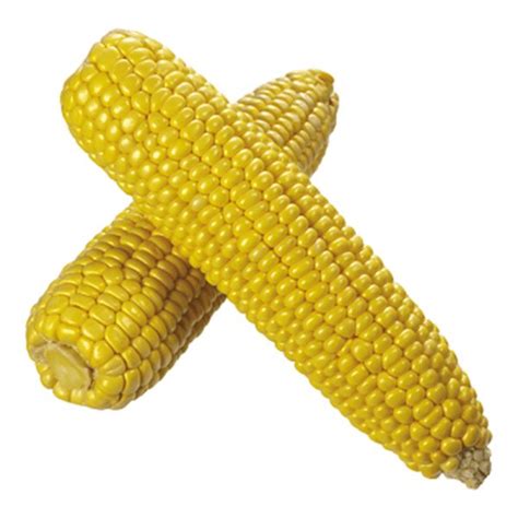 Corn – Organically Grown