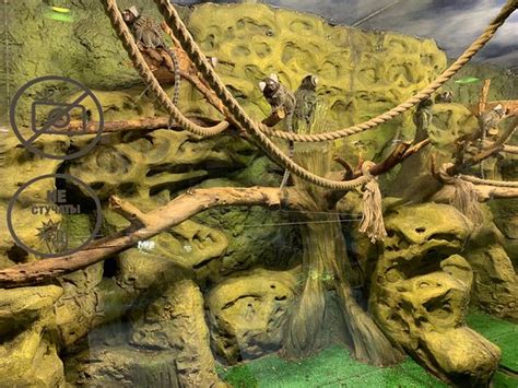 Crocus Oceanarium (Moscow) - 2020 All You Need to Know BEFORE You Go ...