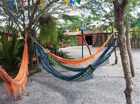 Premium Photo View Of Hammocks Hanging From Trees