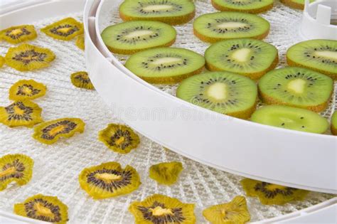 Close Up On Round Grills Cut Fresh And Dried Kiwi Fruit Stock Image