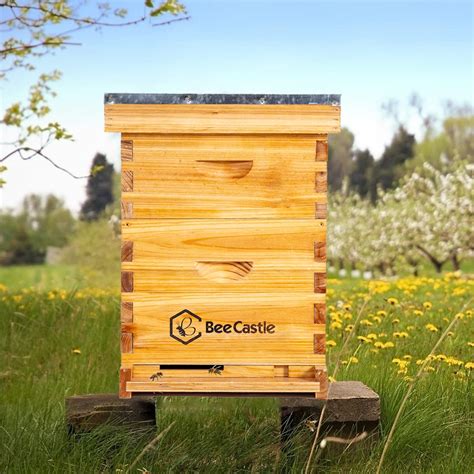 Buy Frames Complete Beehive Kit Beeswax Coated Bee Hive