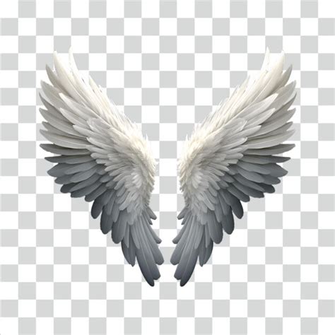 Premium PSD Psd White Wing Isolated On Transparent Background