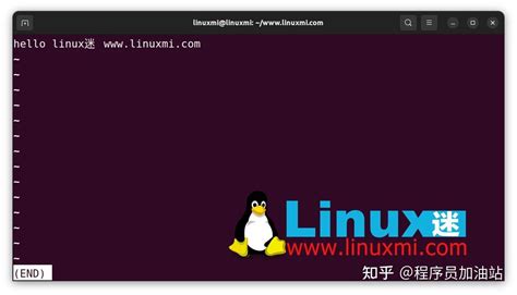 8 个 Shell 命令，让你瞬间成为 Linux 命令行大师 知乎