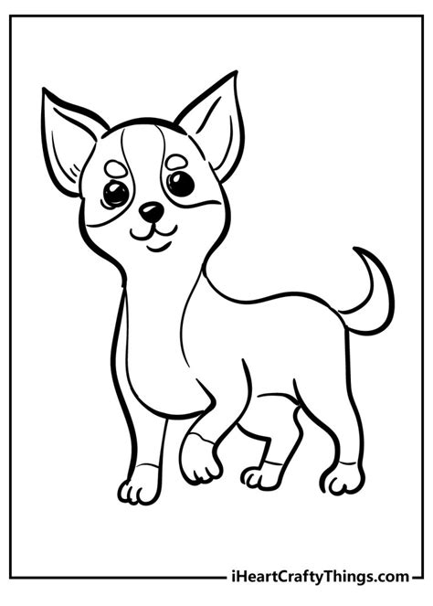 Chihuahua Coloring Pages 100 Free Printables