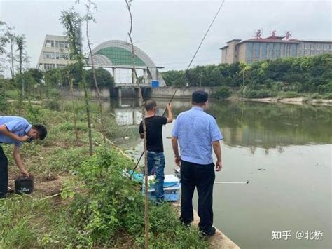 禁渔期已到，多省市实施禁钓，但这些地方可以下竿 知乎