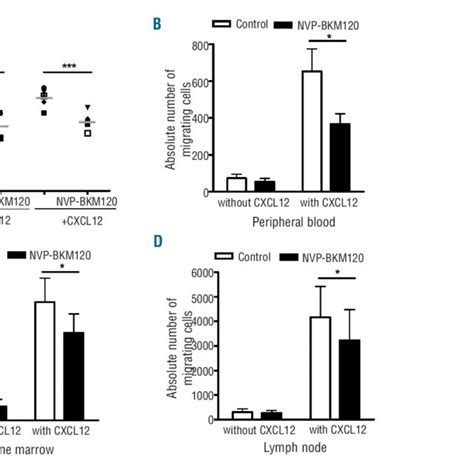 Nvp Bkm120 Inhibits Cxcl12 Induced Cll Migration And Actin