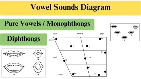 Vowels Diagram Vowels Quadrilateral Monophthongs Diphthongs