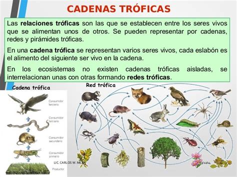 Los Ecosistemas