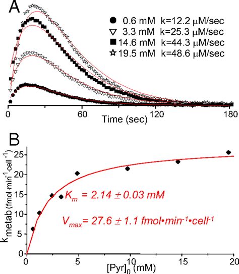 Kinetics Of Hyperpolarized 13c1 Pyruvate Transport And Metabolism In