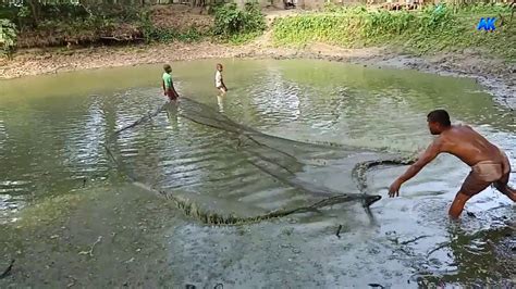 VILLAGE LIFE FISHING IN A VILLAGE POND CAST NET THROW CATCHING SMALL