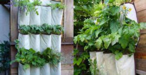 Orto Sul Balcone Le Idee Pi Originali E Creative Greenme