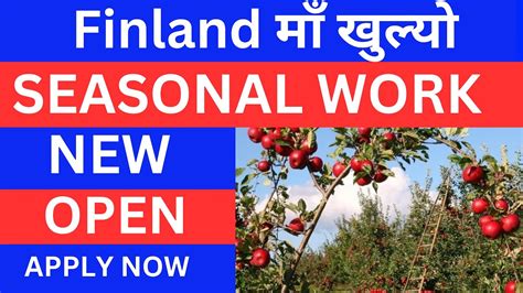 How To Apply Finland Seasonal Work Visa How To Apply Finland Seasonal