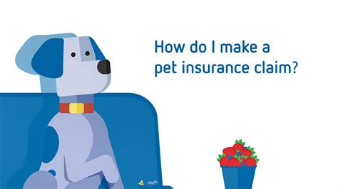 How Do I Make A Pet Insurance Claim PetSure