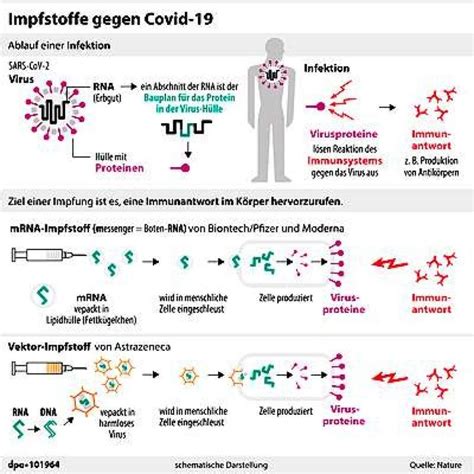 Fakten auf einen Blick Alles was Sie über Corona Impfung wissen