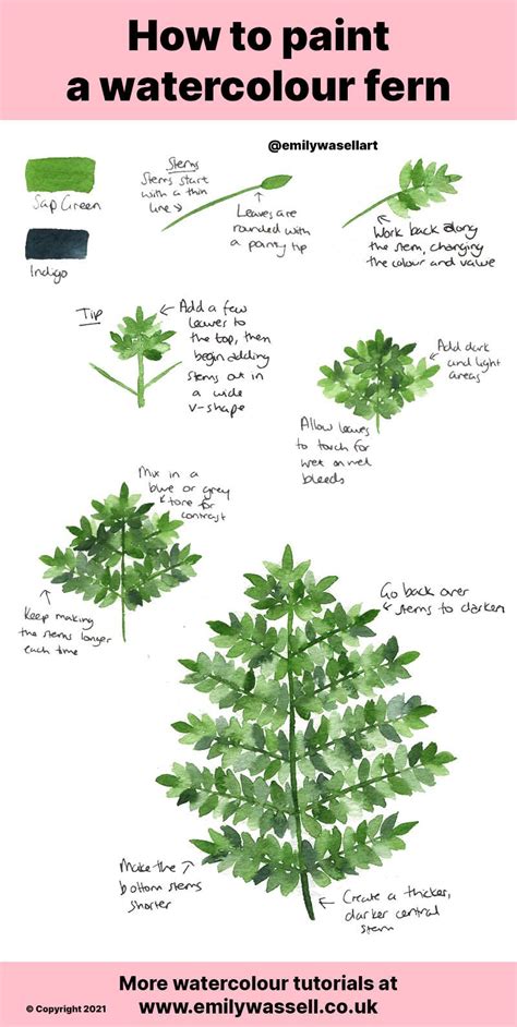 How To Paint A Watercolour Fern