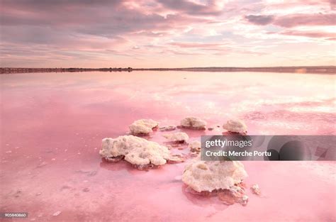 Pink Saltwater Lagoon Of Torrevieja High Res Stock Photo Getty Images