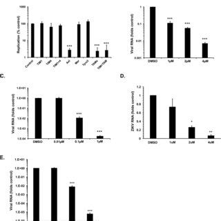 Sertoli Cells Support High Levels Of Zikv Replication A Primary