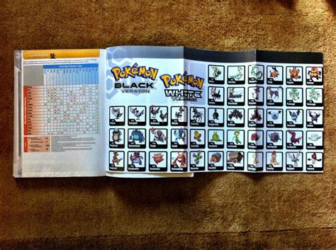 Buy Pokemon Black Version & Pokemon White Version Volume 2: The ...
