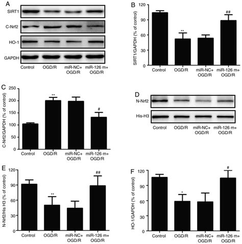 Mir Overexpression Attenuates Oxygenglucose Deprivation