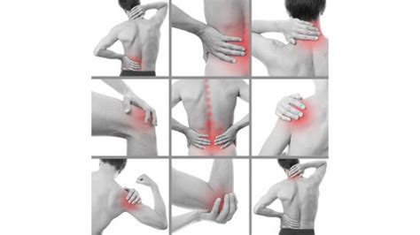 Blogs On Physical Therapy I Sv Proactive I Sunnyvale