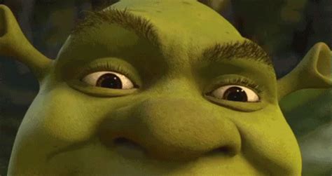 Shrek Shocked GIF - Shrek Shocked Oh No - Discover & Share GIFs