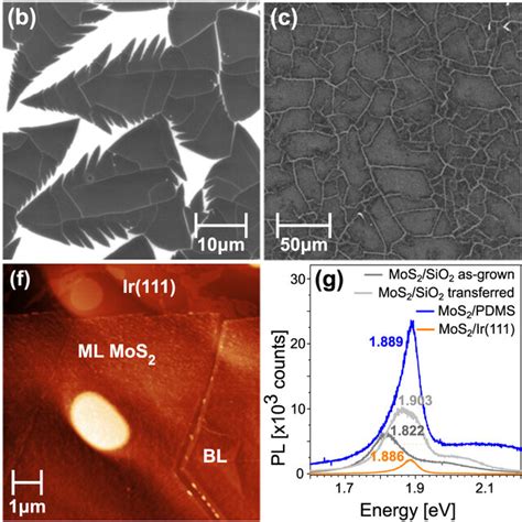 A As Grown Mos Monolayer On Sio Si Substrate Imaged With An Optical