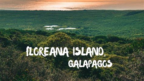 Visiting Floreana Island In The Galapagos Ecuador Youtube