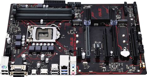 Asus PRIME B250 PLUS Mainboard Attacco Intel 1151 Fattore Di Forma ATX