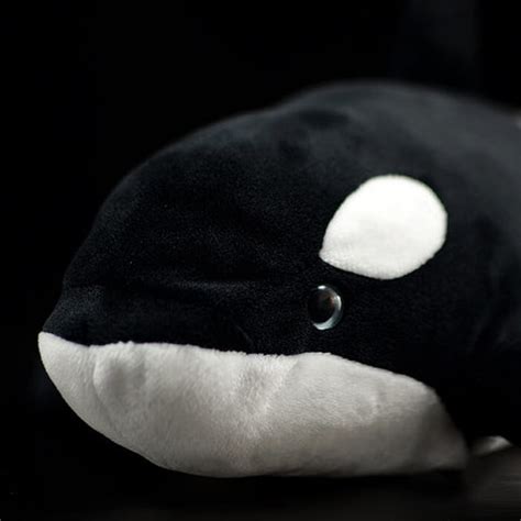 Realistic Orca Stuffed Animal Plush Toy – KEAIart