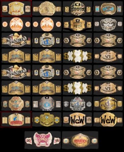 All The Titles Wwe Belts Wwe Championship Belts Wwe Tna