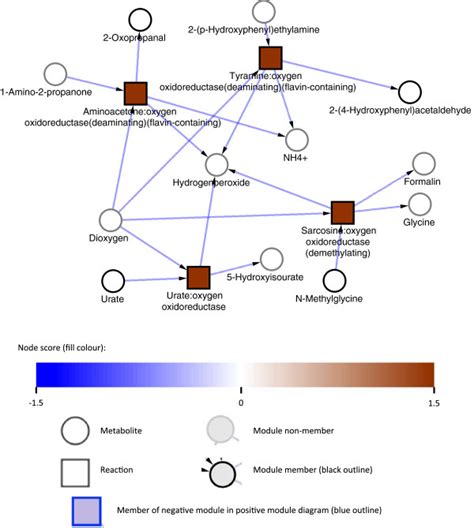 Regulation Of Hydrogen Peroxide Metabolism In Response To Nitrogen