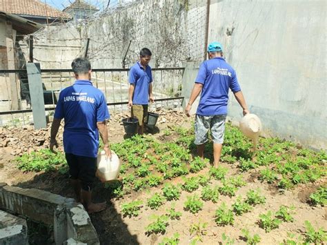 Menanam Harapan Panen Kebaikan Lapas Magelang Dorong Kemandirian