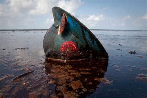 Tous les chiffres sur la marée noire de BP rts ch Monde