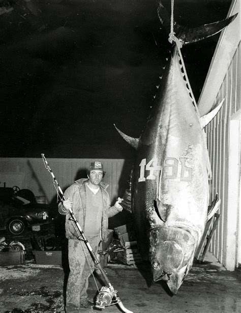 Biggest Tuna Ever Recorded American Oceans