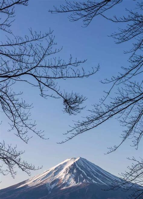 日本新天皇繼位：赦免幾十萬違法者，去日本旅遊還有安全感嗎？ 每日頭條