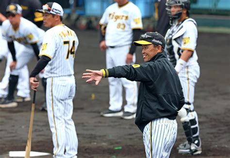 阪神・岡田監督 いきなり日本一オーダー 主力ズラリで24年初対外試合 “本拠地”で「顔見せや」阪神タイガースデイリースポーツ Online