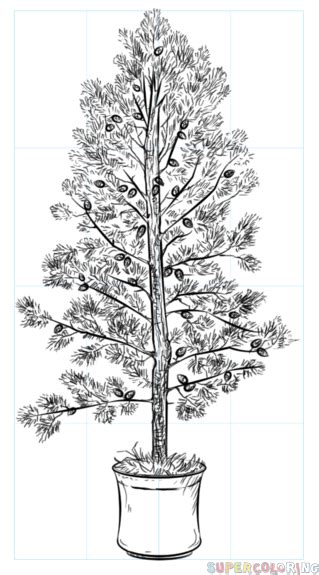 How To Draw A Pine Tree Step By Step Drawing Tutorials