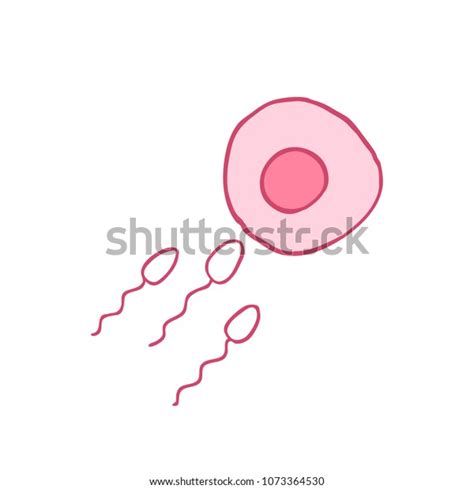 Sperm Ovum Doodle Icon Stock Vector Royalty Free 1073364530