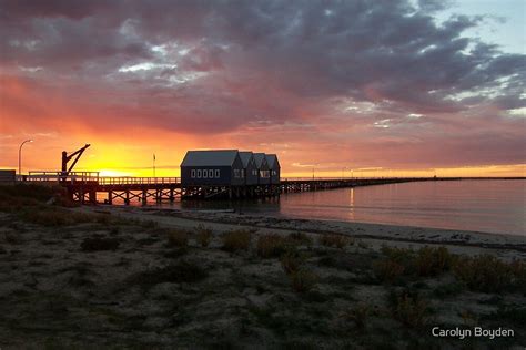 "Busselton Jetty Sunset" by Carolyn Boyden | Redbubble