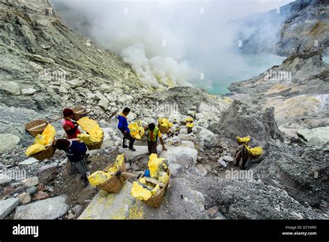 Sulphur Miners Of Kawah Ijen Java Indonesia Stock Photo Alamy