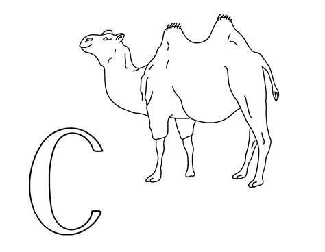 C Para Colorear Colorear Dibujos Vrogue Co
